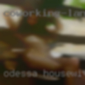 Odessa, housewives